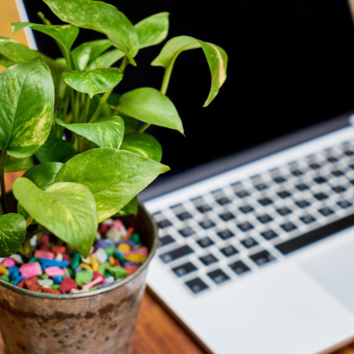 How Aurora Digital Solution Helps Businesses Go Green