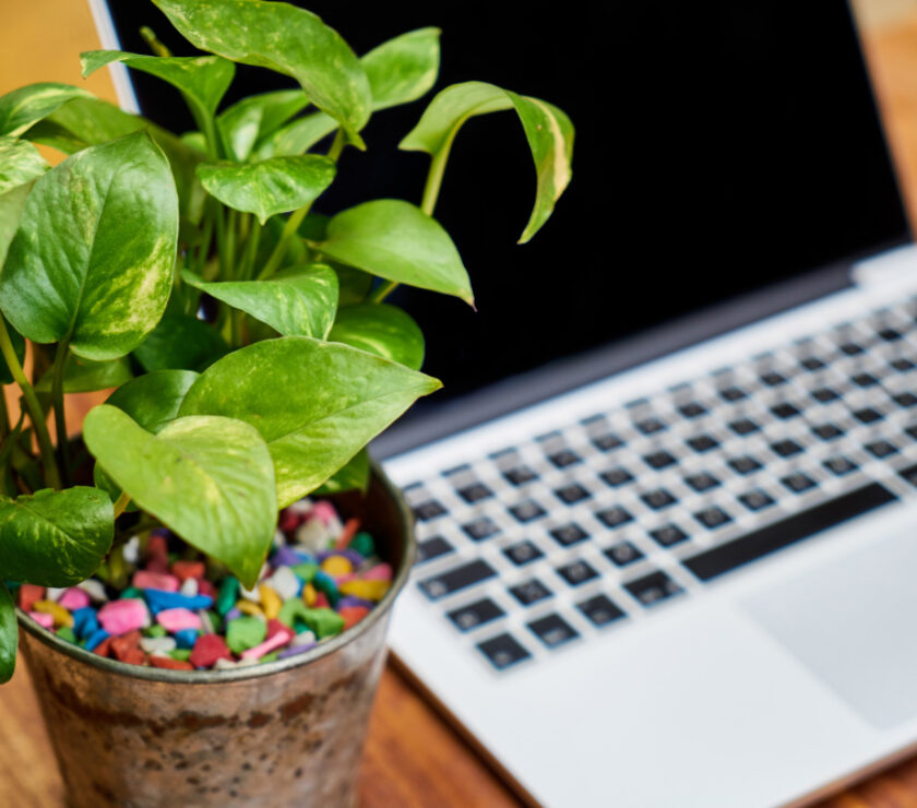 How Aurora Digital Solution Helps Businesses Go Green